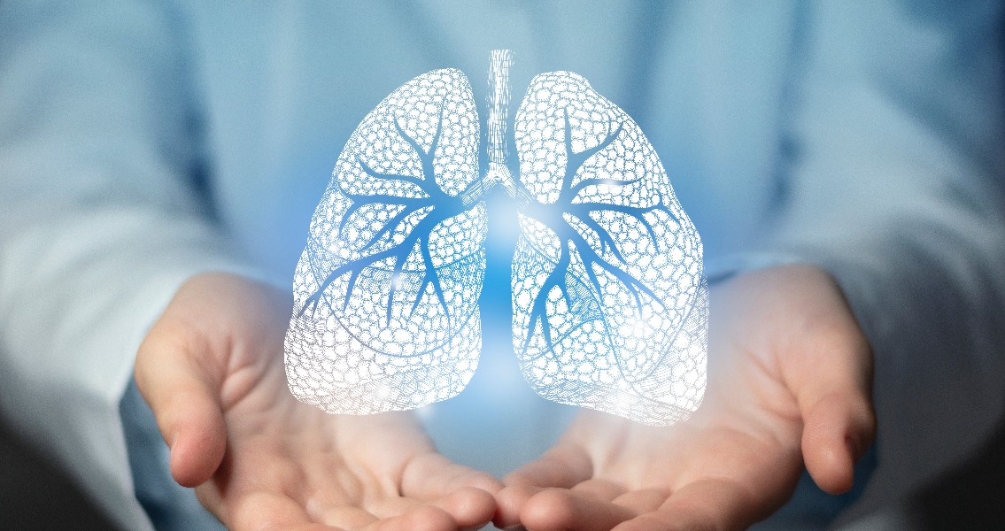Die Lunge, wie sie funktioniert