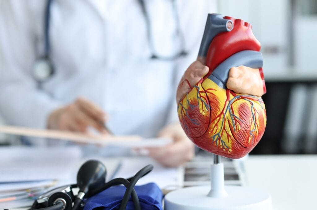 Kardiologe schreibt Notizen neben einem Kunstherz